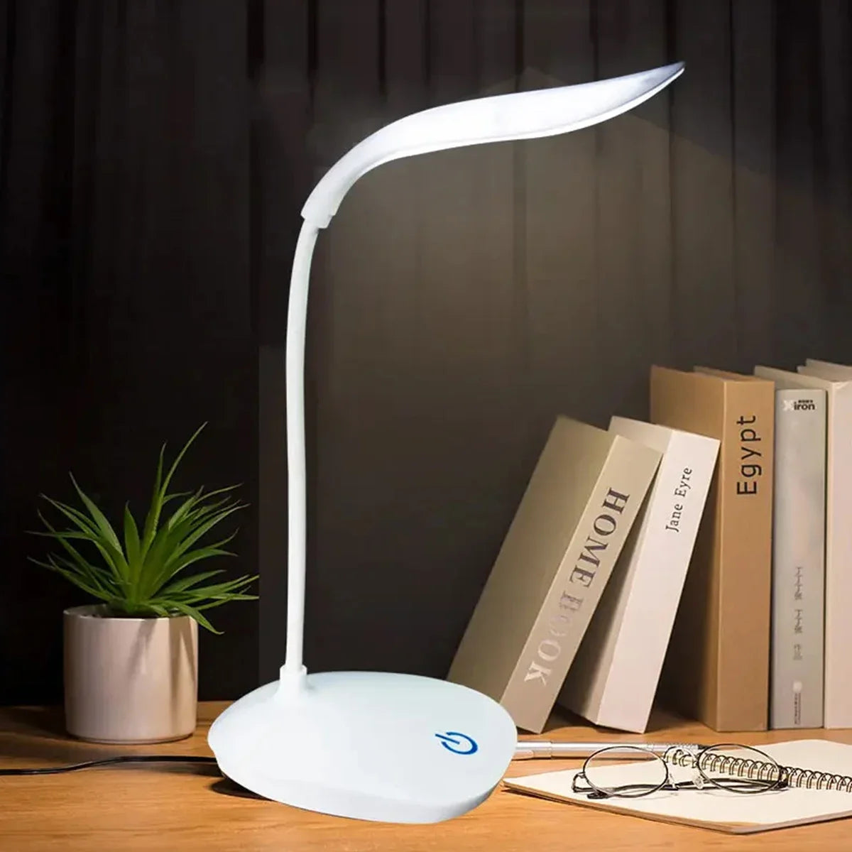 Reading Led Desk Lamp Portable Desk Lamp USB Charging  Light